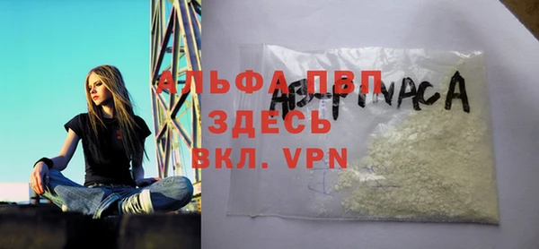 гашик Алзамай