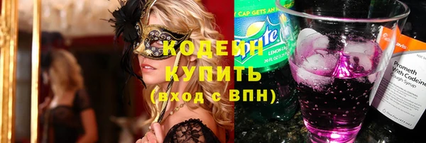 гашик Алзамай