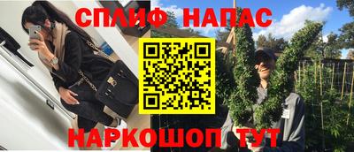 сатива Лесной