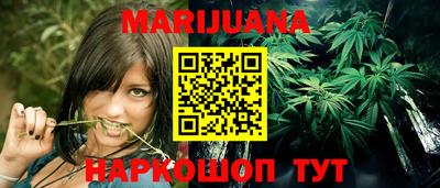 сатива Лесной